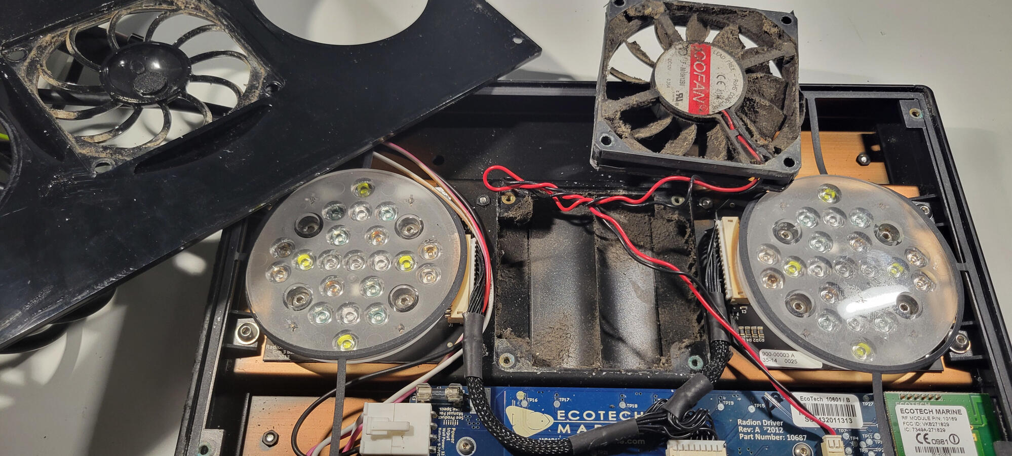 Radion XR30 Gen 3 Pre-Deep Clean